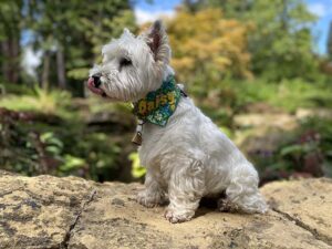 Posing at Batsford Artoretum.