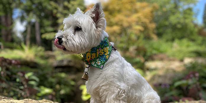 Posing at Batsford Arboretum