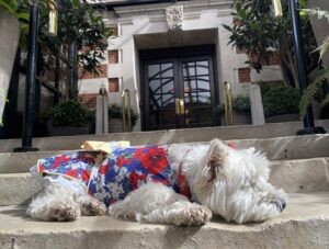 Relaxing on the steps before leaving The Bloomsbury.