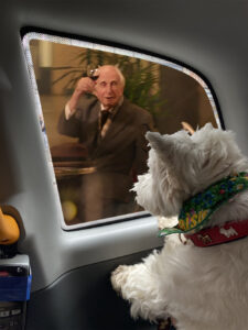 A salute from Michael Bond...