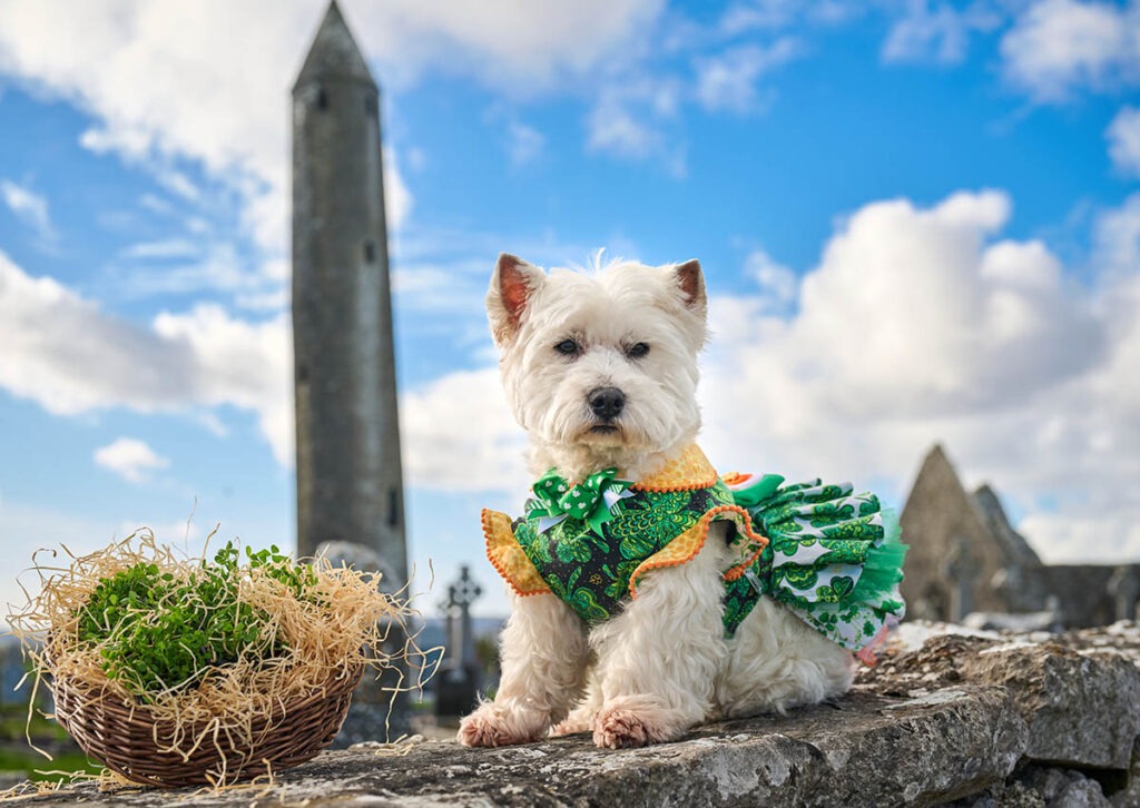 Posing by Kilmacduagh Abbey in my new dress.