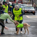 Ennis St Patricks Day Parade