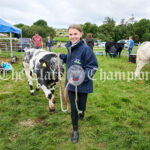 Kildysart Show