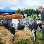 Kildysart Show