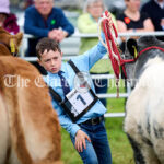 Kildysart Show