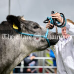 Kildysart Show