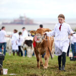 Kildysart Show