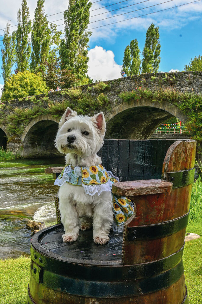 Having a relaxing drink by the river.