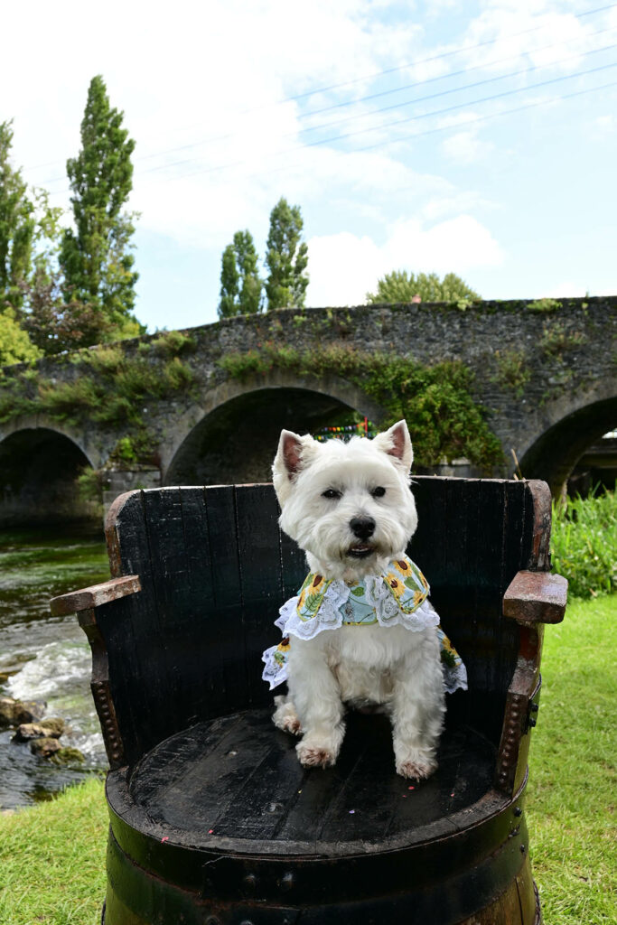 Relaxing by the river.