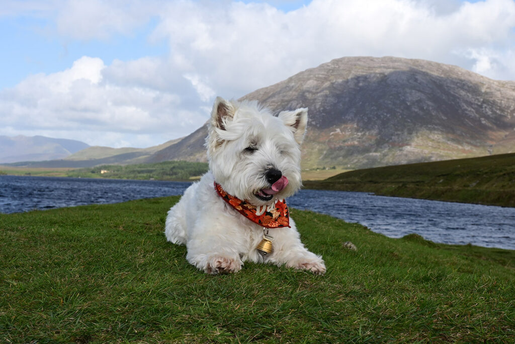 Lough Inagh in all its splendour.