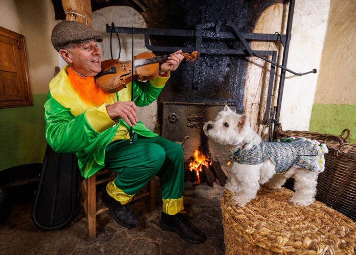 Daisy is serenaded by Michael Grogan at Bunratty Castle and Folk Park.