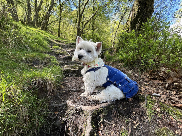 Posing at Glendalough.