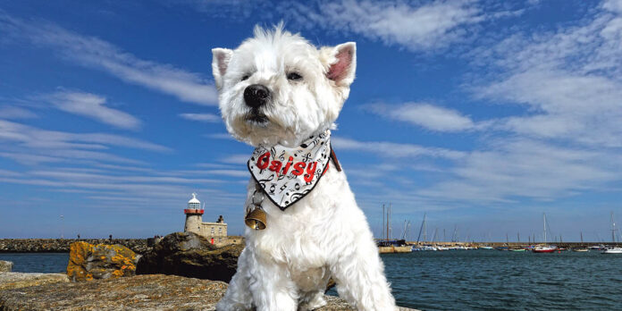 Posing on Howth Pier.