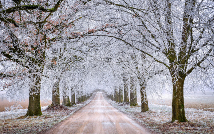 Winter road.